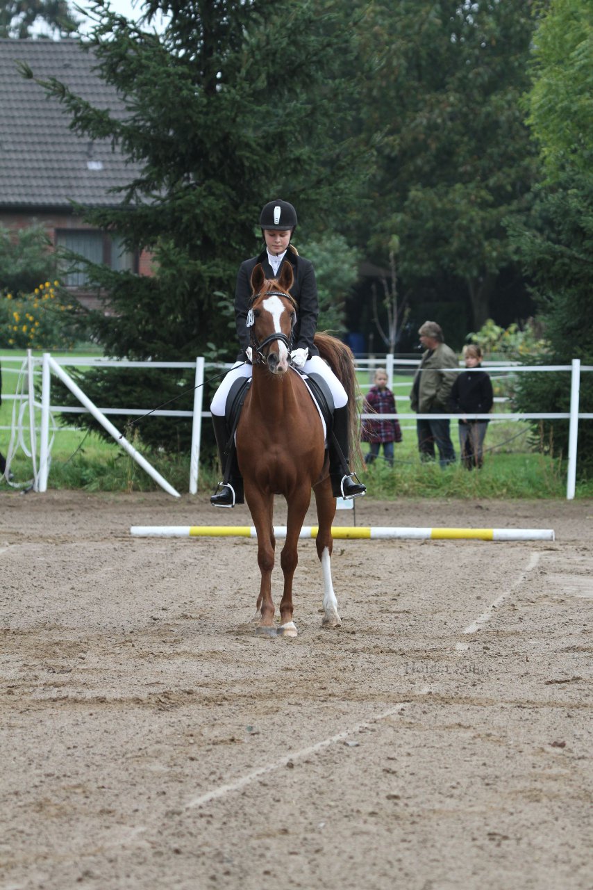 Bild 37 - WBO-Turnier am 18.9.11